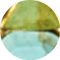 Serayah Vintage Gold Statement Stud Earrings in Teal Mix